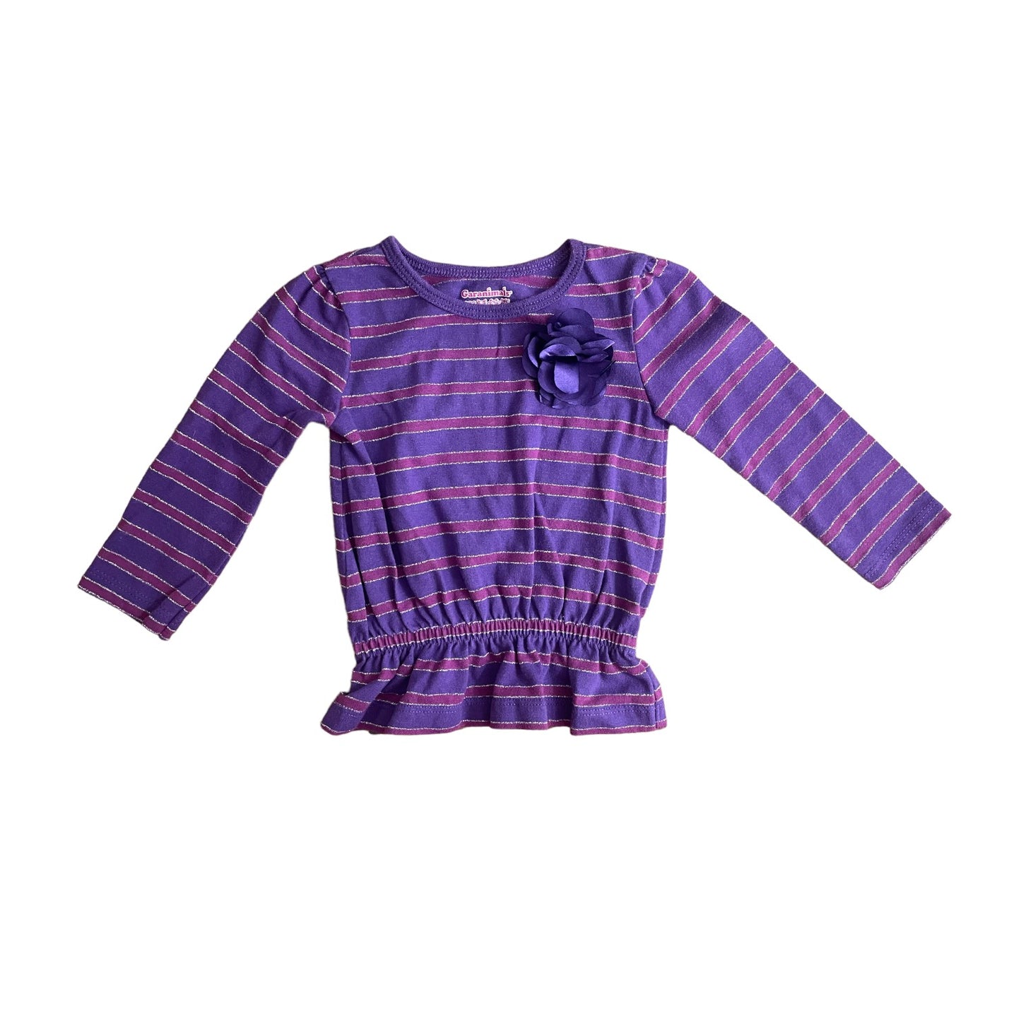 Garanimals Purple Top Size 9-12 months